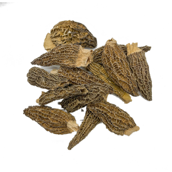 Dried Morels